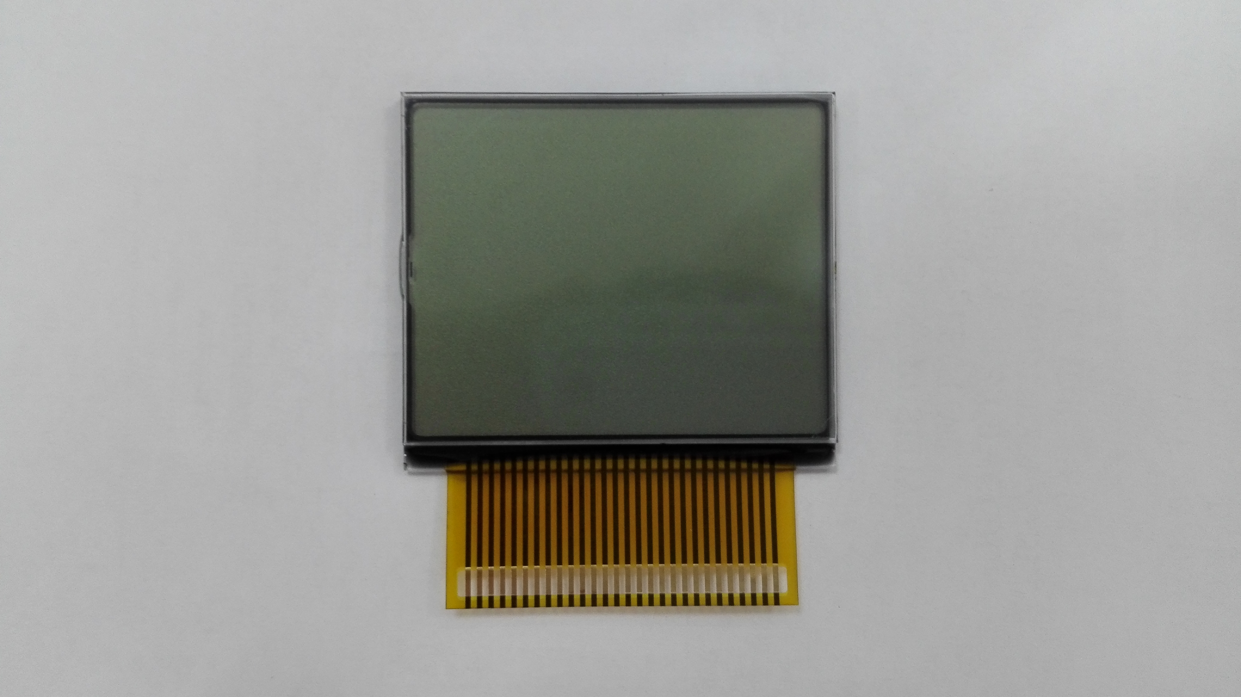 FG80731A-001242B.jpg
